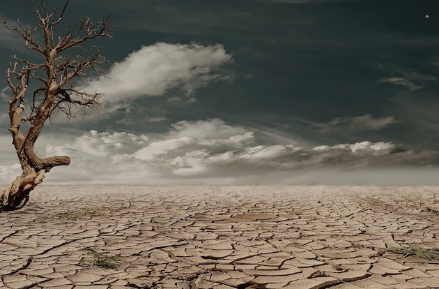 инвестиции в воду актуальность, доходность, риски - фото пустыни без воды