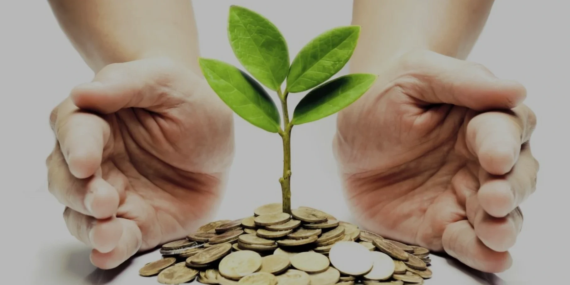 Как инвестировать с небольших сумм Как инвестировать с небольших сумм правильно, стратегии и активы которые подходят для новичков и начинающих инвесторов